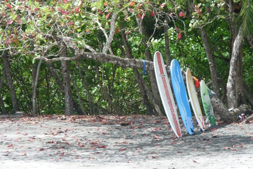 The Manuel Antonio beach was also popular with surfers.