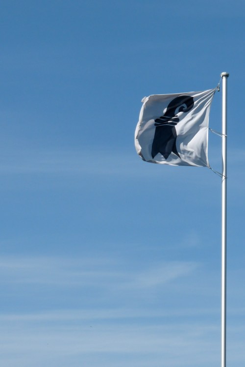 The regional flag of Basel
